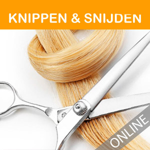 online-cursus-knippen-snijden-hairextensions